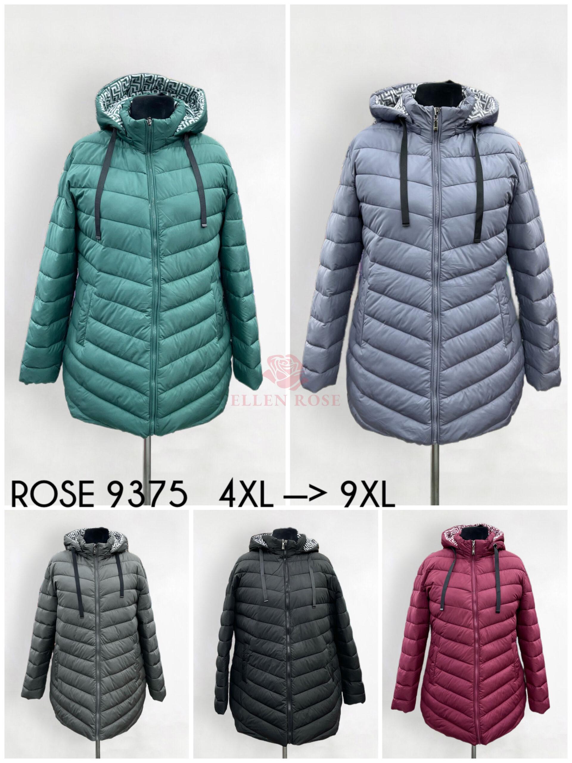 ROSE 9375